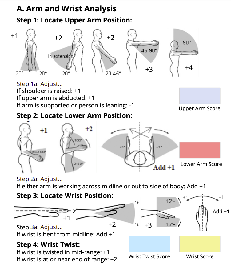 RULA assessment worksheet showing upper limb joint angles and their level of ergonomic risk. 