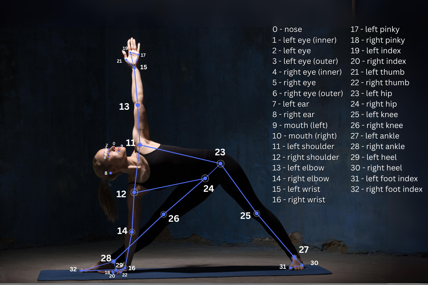 Sample of 14 different yoga postures | Download Scientific Diagram